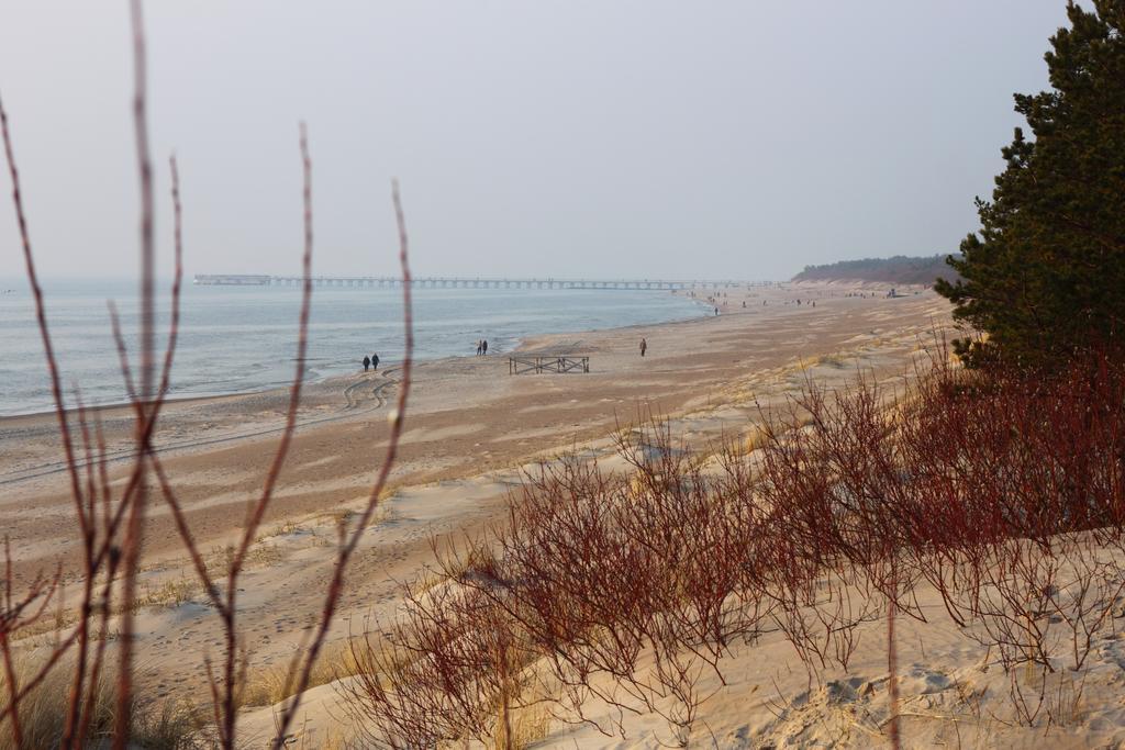 Forest Apartment Palanga Dış mekan fotoğraf